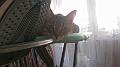 2016-12-03 09.14.40 Inka